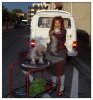 2/arche de noe milou grisou (Small).jpg